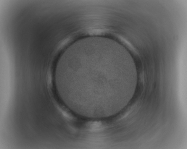 X0000113880687200909241353