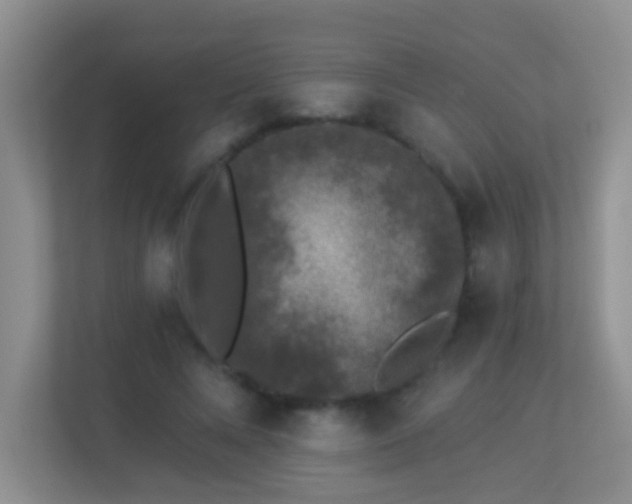 X0000113880688200909241353