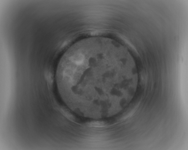X0000113880691200909241353