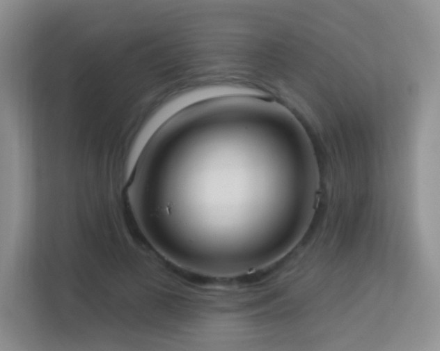 X0000113880693200909241353