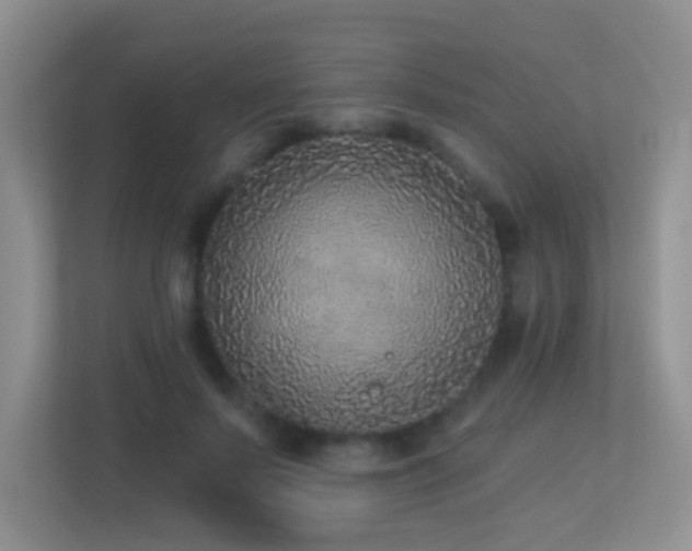 X0000113880695200909241353