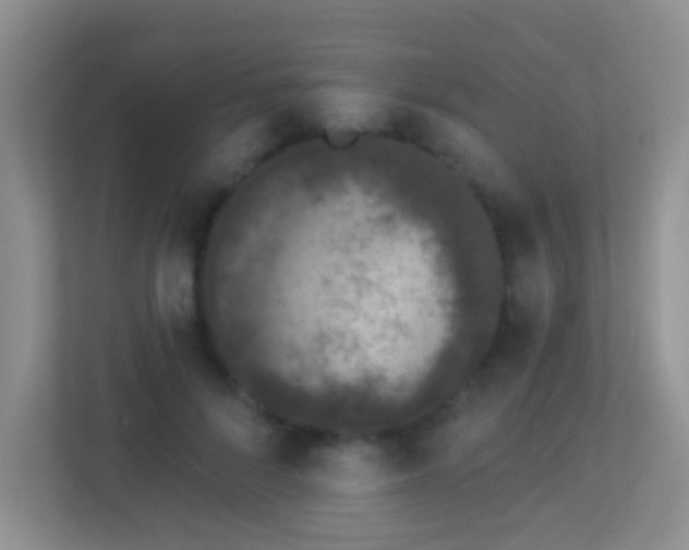 X0000113880696200909241353
