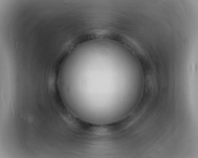 X0000113880698200909241353