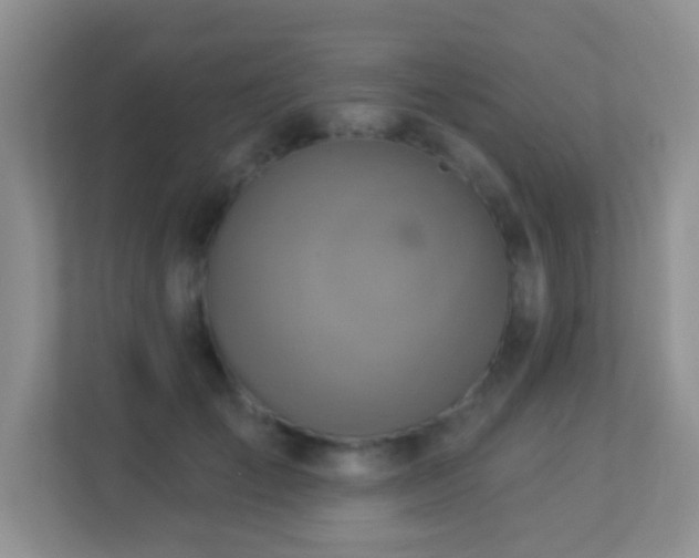 X0000113880701200909241353