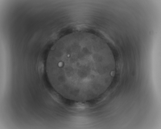 X0000113880703200909241353
