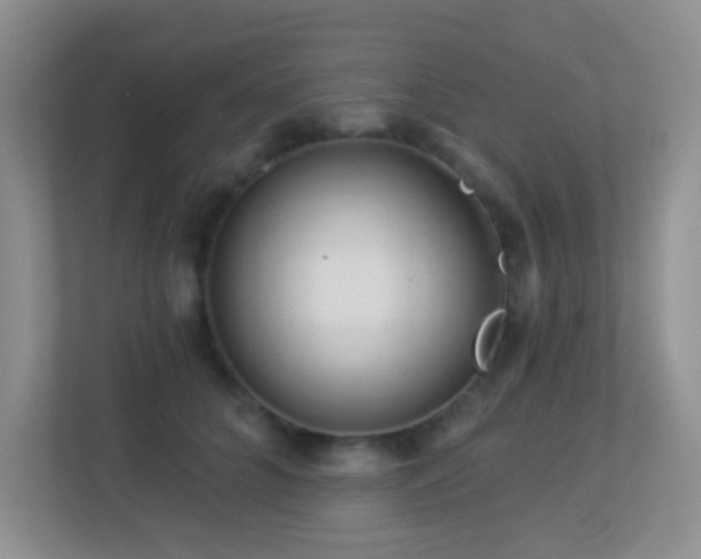 X0000113880704200909241353