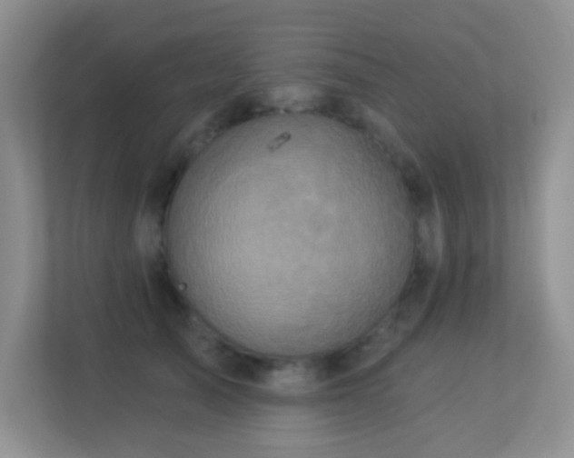 X0000113880705200909241353