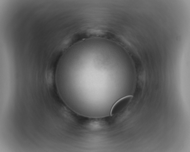 X0000113880708200909241353