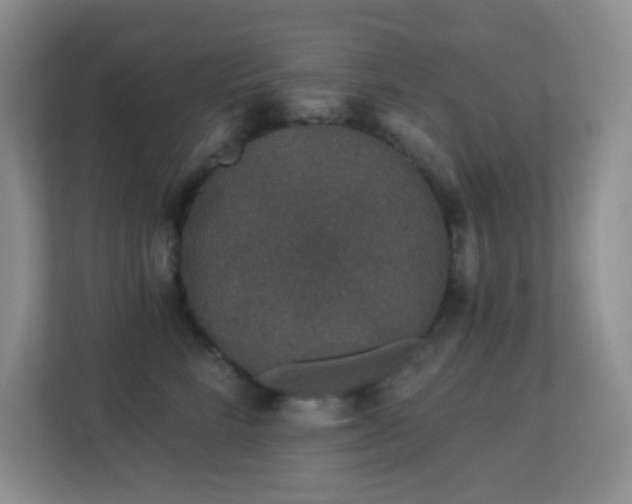 X0000113880712200909241352