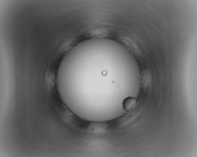X0000113880713200909241352