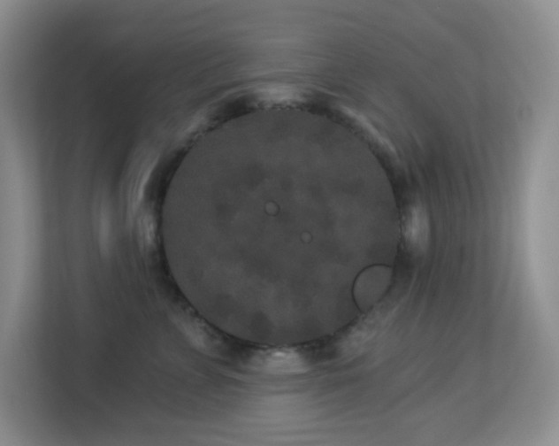 X0000113880715200909241352