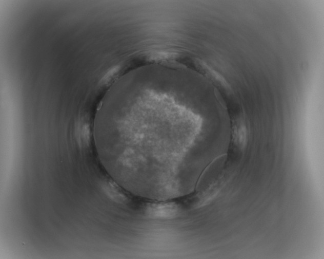 X0000113880716200909241352