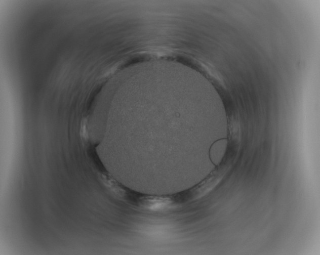 X0000113880719200909241352
