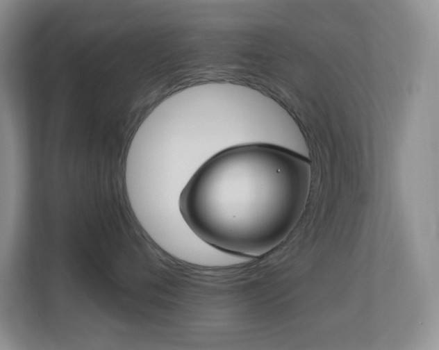 X0000113880720200909241352