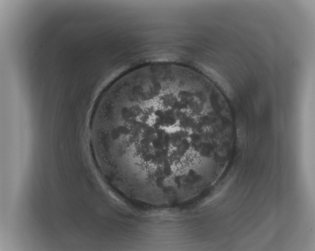 X0000113880721200909241352