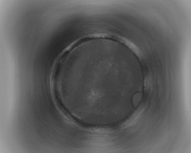 X0000113880722200909241352