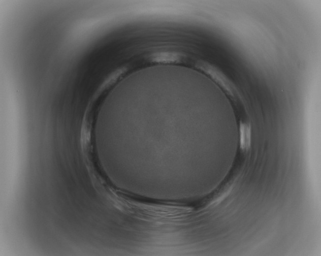 X0000113880723200909241352