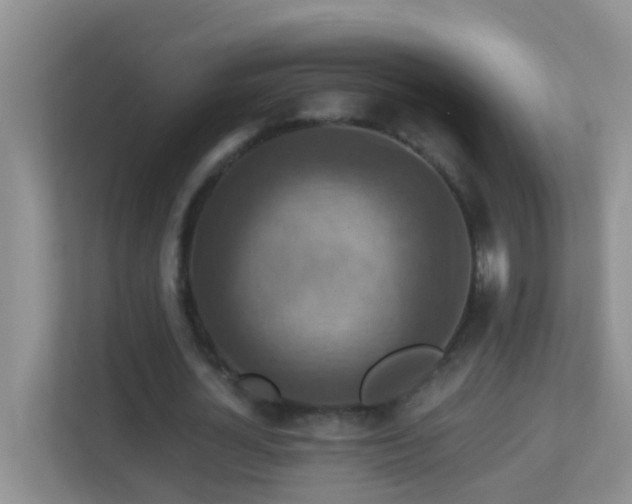 X0000113880724200909241352