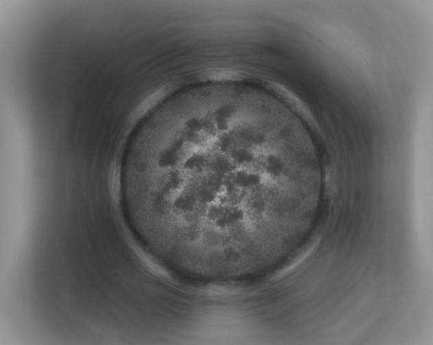 X0000113880725200909241352