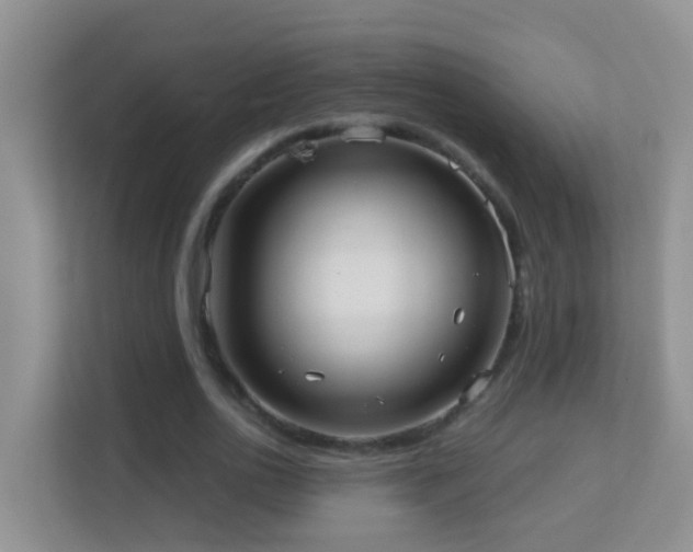X0000113880726200909241352