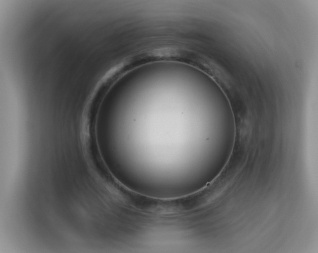 X0000113880727200909241352