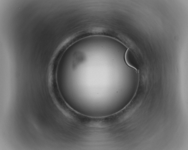 X0000113880728200909241352