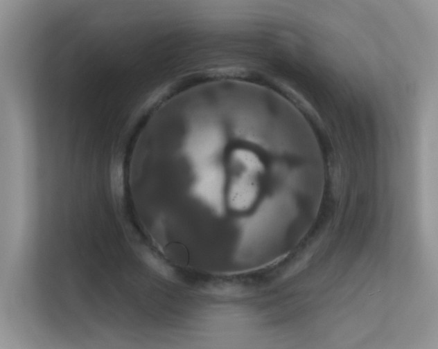 X0000113880729200909241352