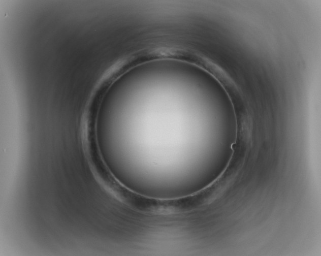 X0000113880730200909241352