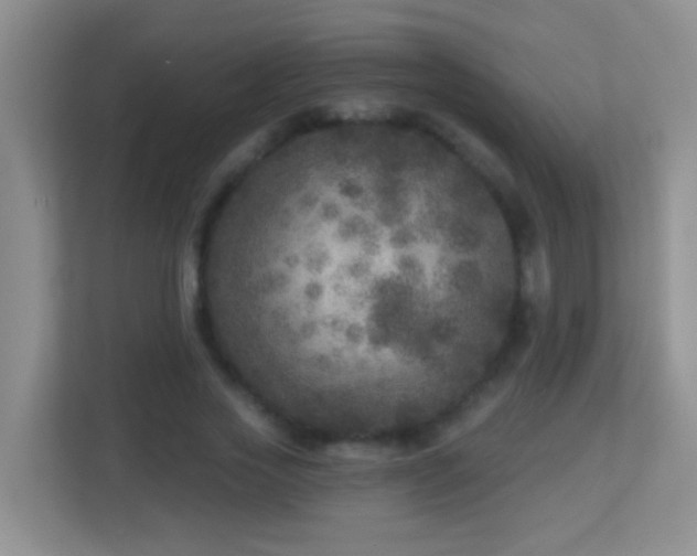 X0000113880733200909241352