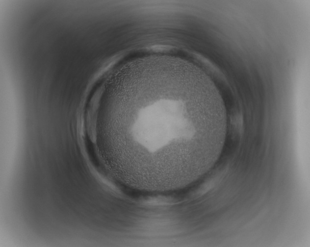X0000113880734200909241352