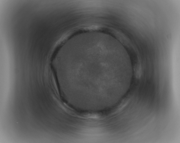 X0000113880735200909241352