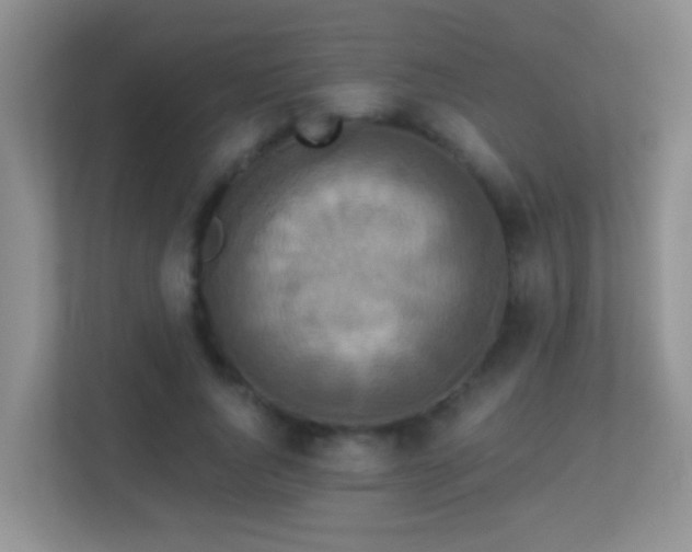 X0000113880736200909241352