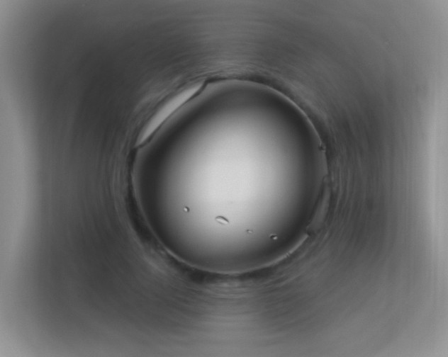 X0000113880740200909241352
