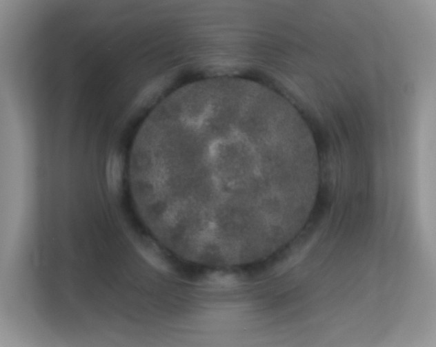 X0000113880742200909241352