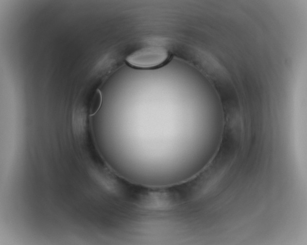 X0000113880744200909241352