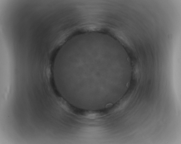 X0000113880746200909241352