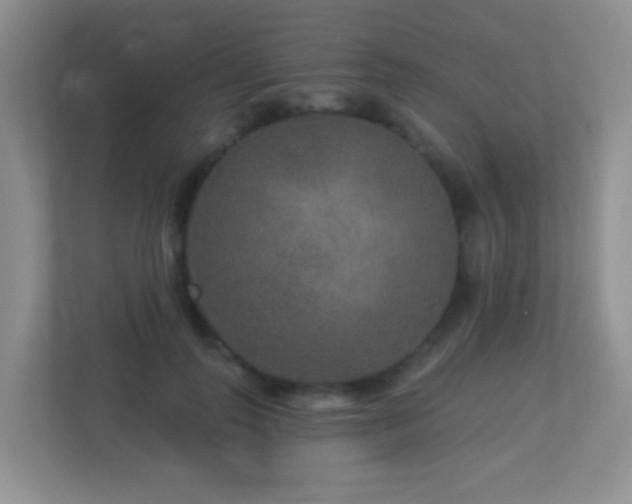 X0000113880747200909241352