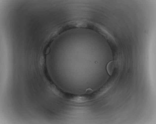 X0000113880748200909241352