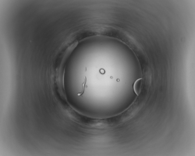 X0000113880750200909241352