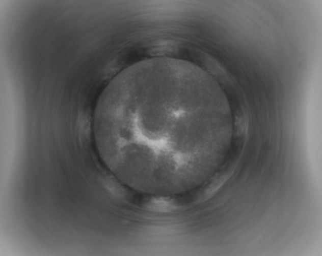 X0000113880753200909241352