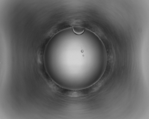 X0000113880755200909241352