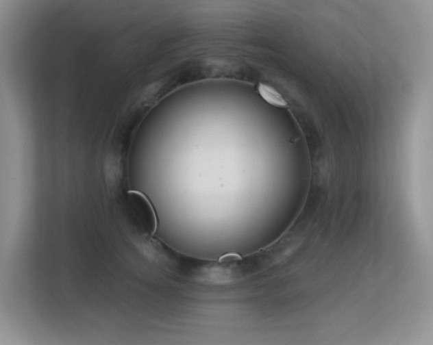 X0000113880756200909241352