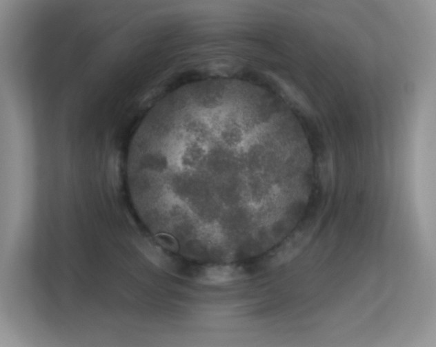 X0000113880757200909241352