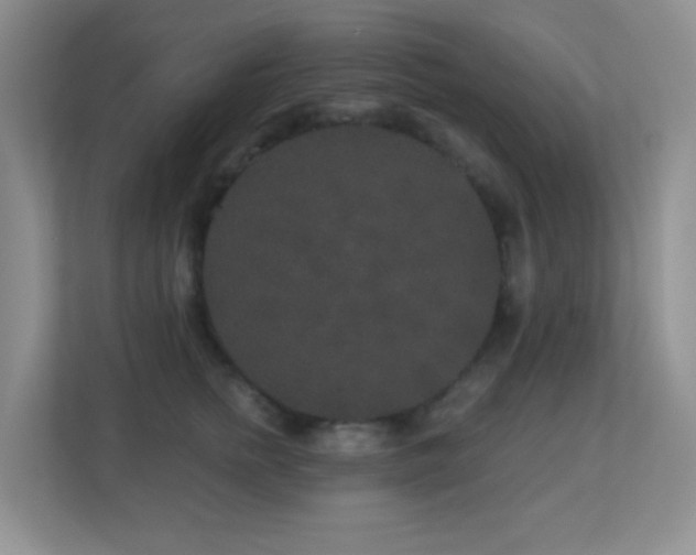 X0000113880758200909241352