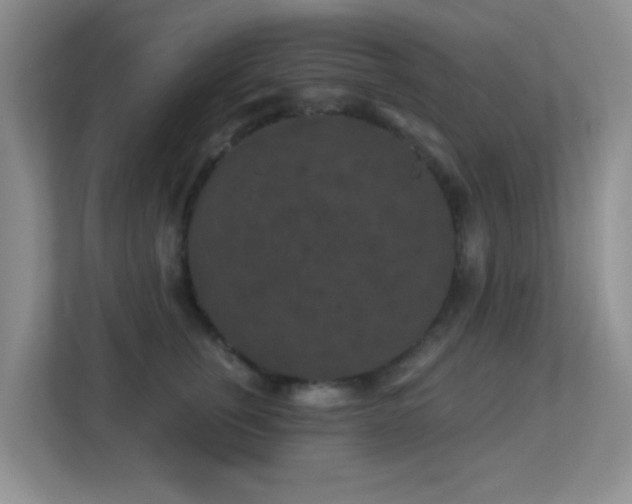 X0000113880759200909241352