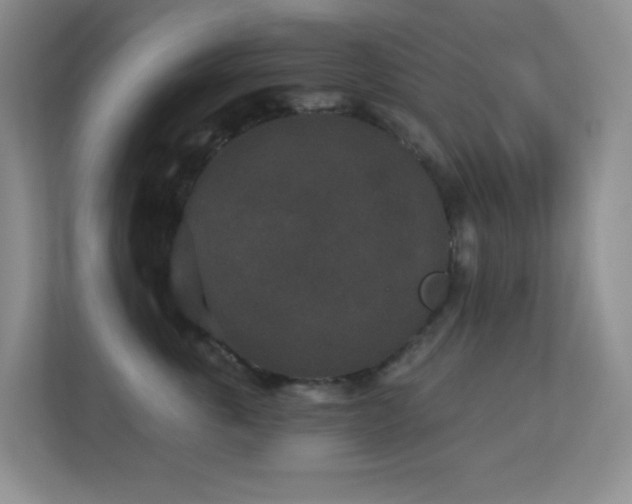 X0000113880763200909241352