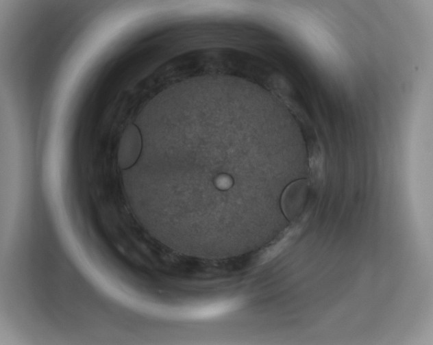 X0000113880765200909241352