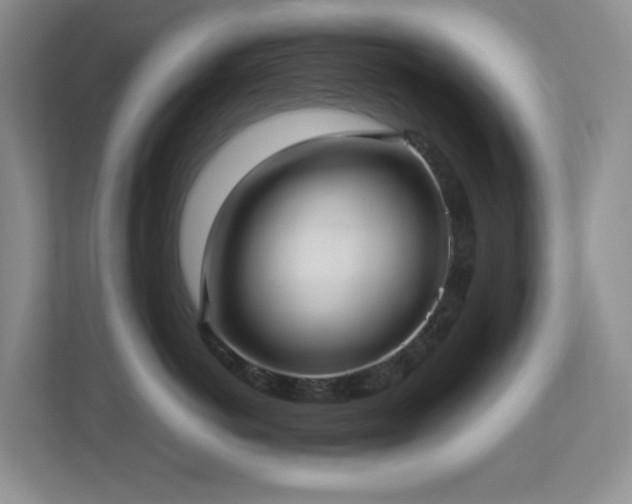 X0000113880766200909241352