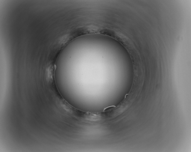 X0000113880768200909241352