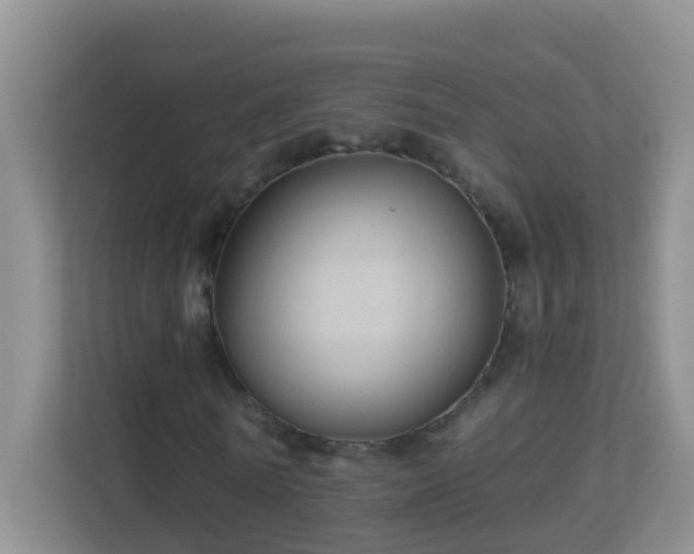 X0000113880770200909241352